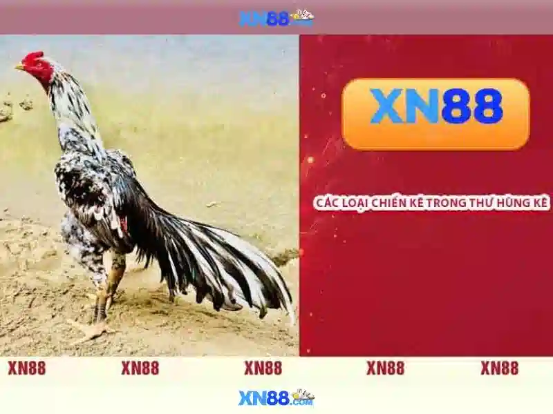 Trải nghiệm Slot đỉnh cao