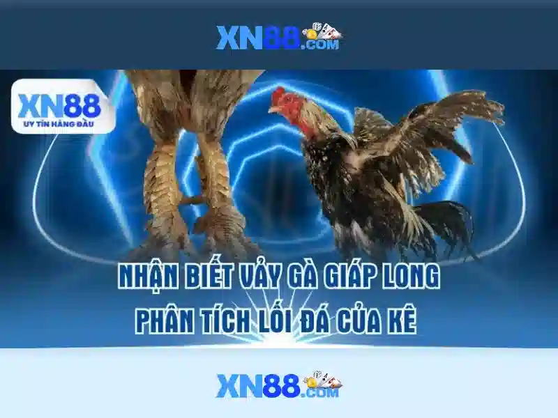 XN88 – Link Vào Trang Chủ XN88 Chính Thức Không Bị Chặn 2026