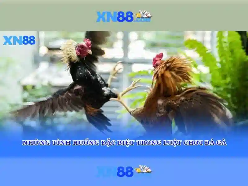 XN88 trang chủ