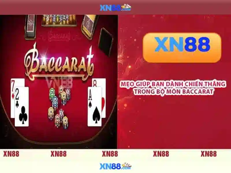 Đánh Giá XN88