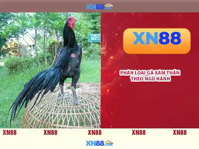 Cổng Game Slot XN88 Com