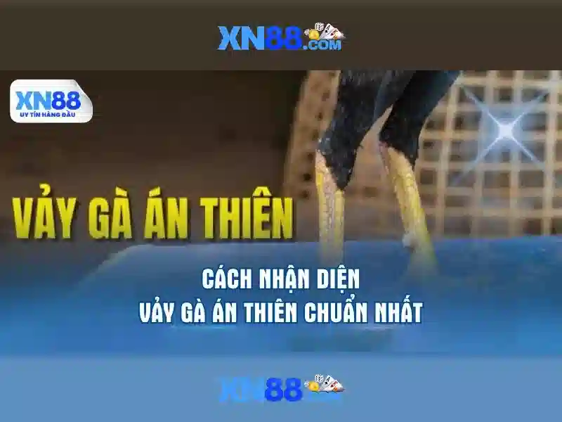XN88 Gaming