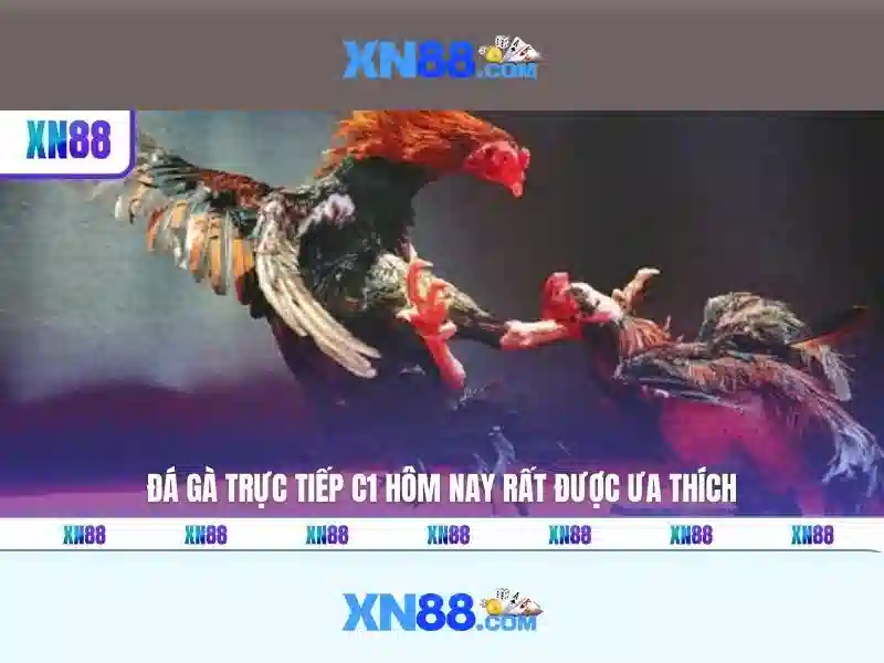 Trải nghiệm Thể Thao