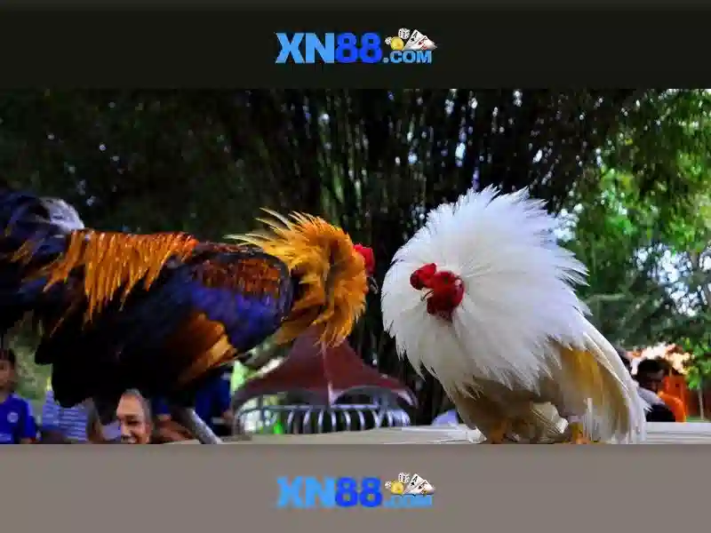 XN88 Có Uy Tín Không