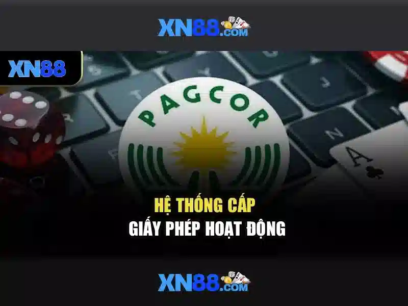 XN88 Casino – Trải Nghiệm Slot Đỉnh Cao Cho Người Chơi Mới
