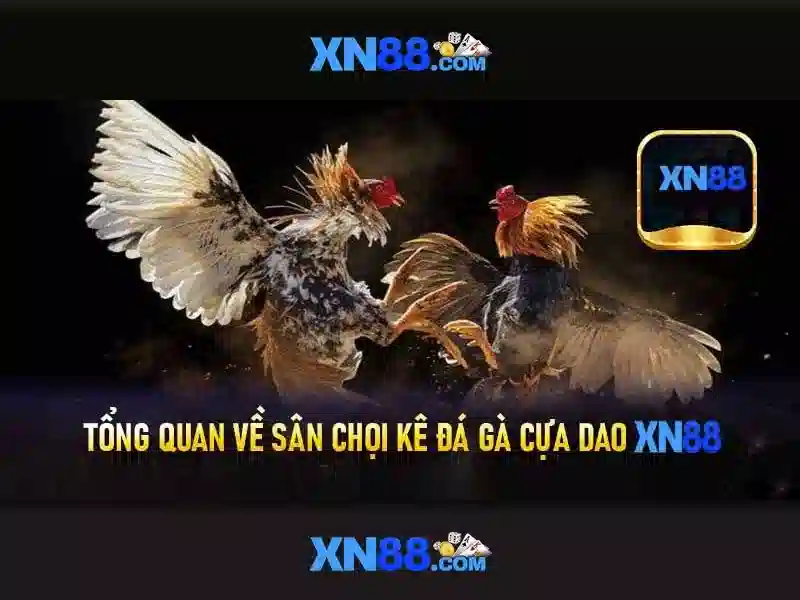 Ưu đãi đăng nhập XN88