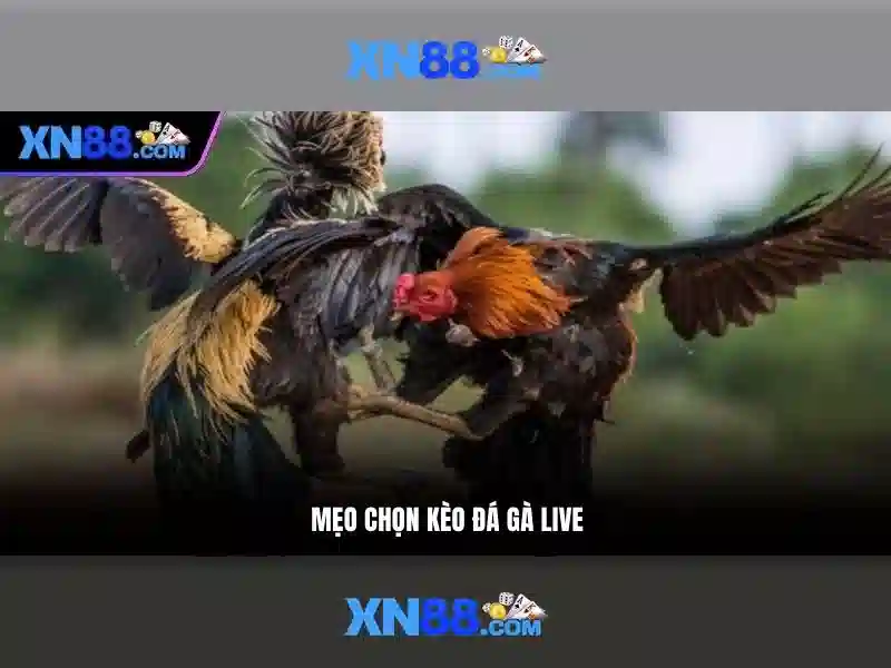 Hệ thống game slot phong phú