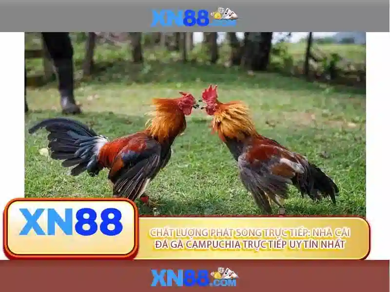 XML Sơ đồ trang web XN88