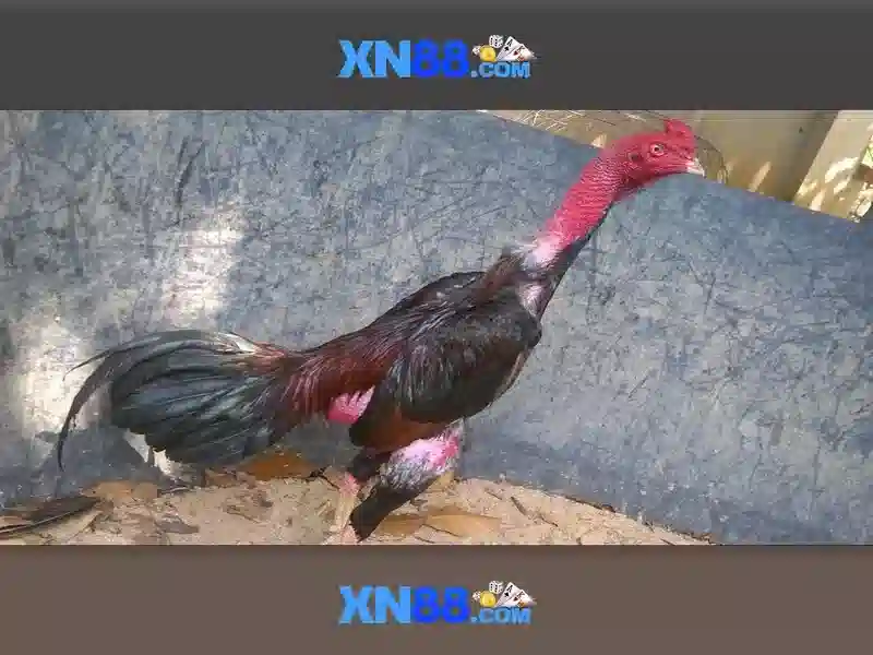 Loại slot phổ biến