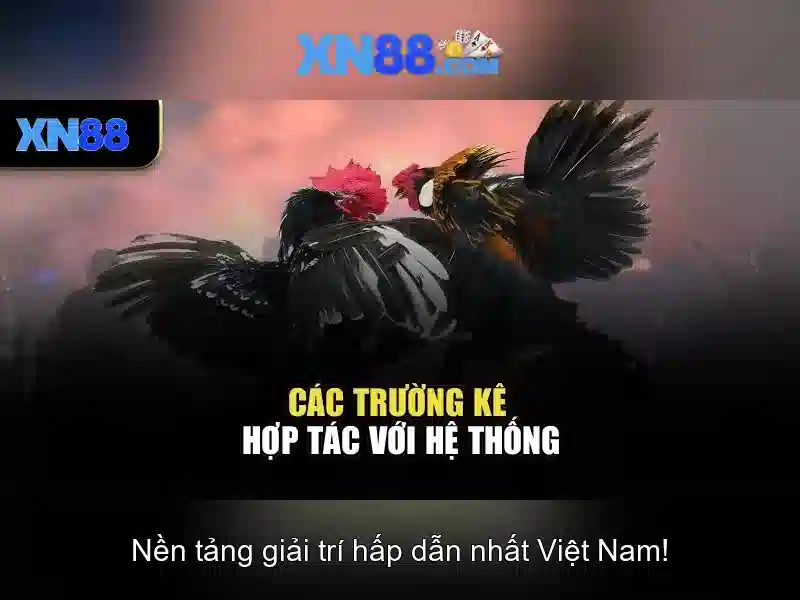Giới Thiệu Về XN88 Casino