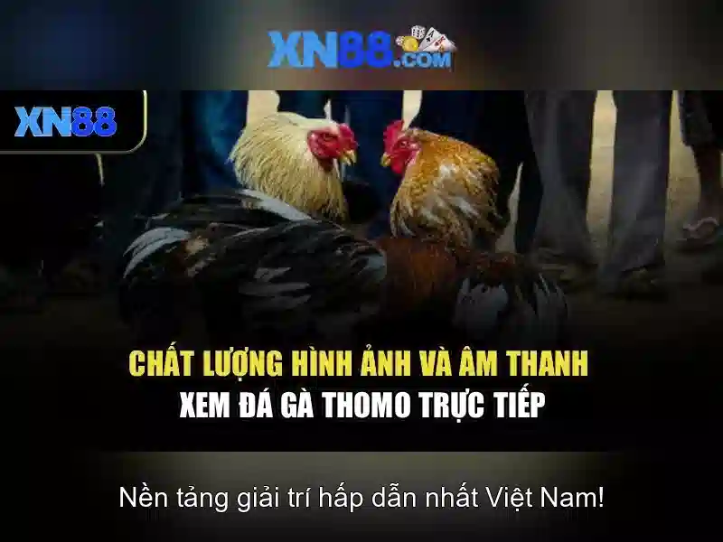 Trải Nghiệm Casino Slot Đỉnh Cao Tại XN88