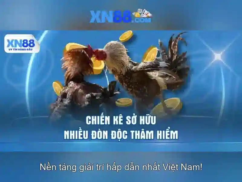 tính năng nổi bật