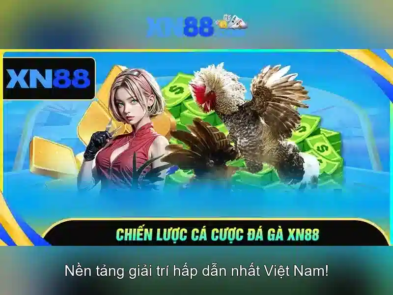 Đánh Giá XN88