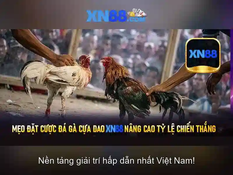 Trải nghiệm Slot đỉnh cao tại XN88