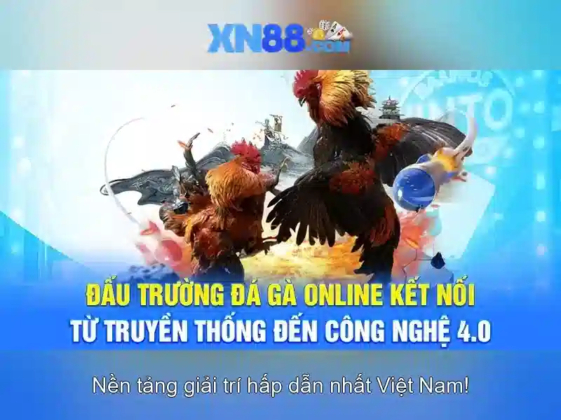 Tại Sao Nên Chọn XN88 Google Play
