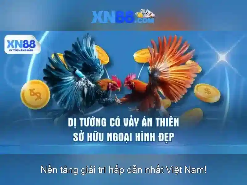 Điều Kiện Tham Gia SLOT