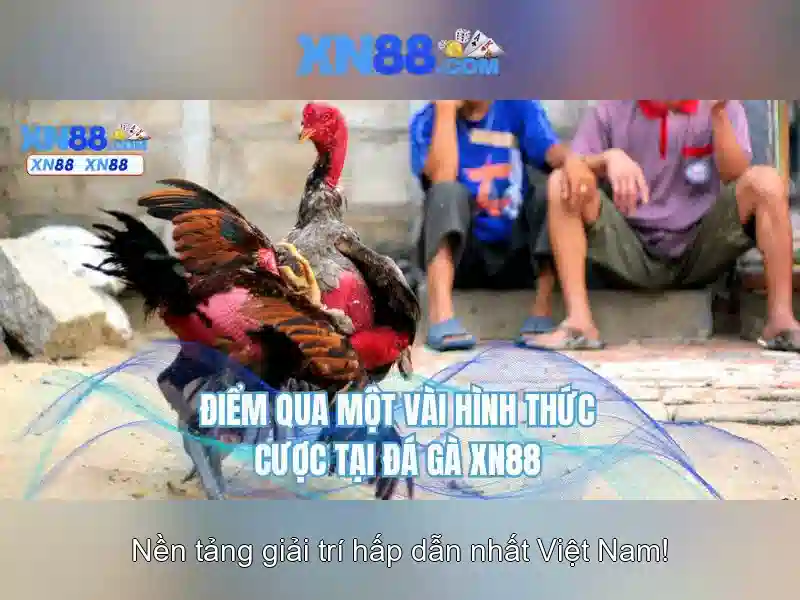 Các loại game slot phổ biến tại XN88