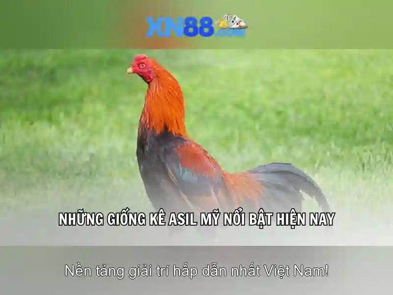 Khuyến Mãi Slot