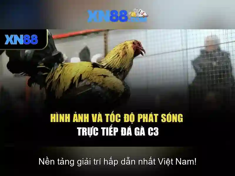 Giải Pháp An Ninh Mạng Toàn Diện 2026