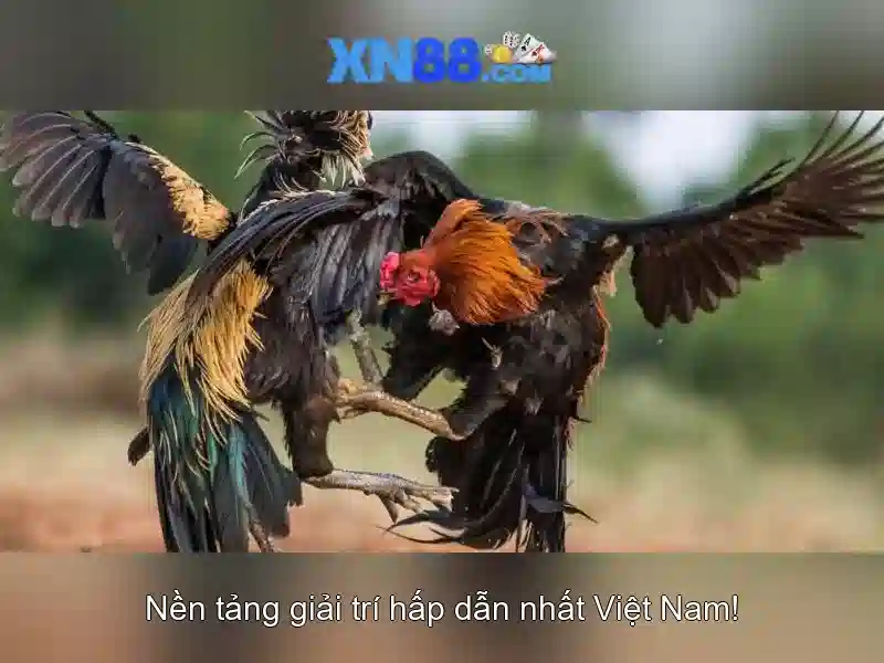 Chính Sách Thưởng Ưu Đãi Tại XN88