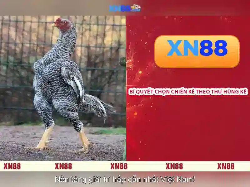 Hướng Dẫn Đăng Ký XN88 Win – Bắt Đầu Trải Nghiệm Ngay