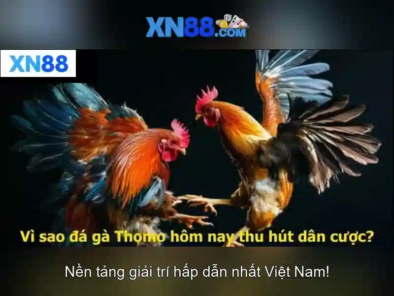 Lý Do Chọn Slot