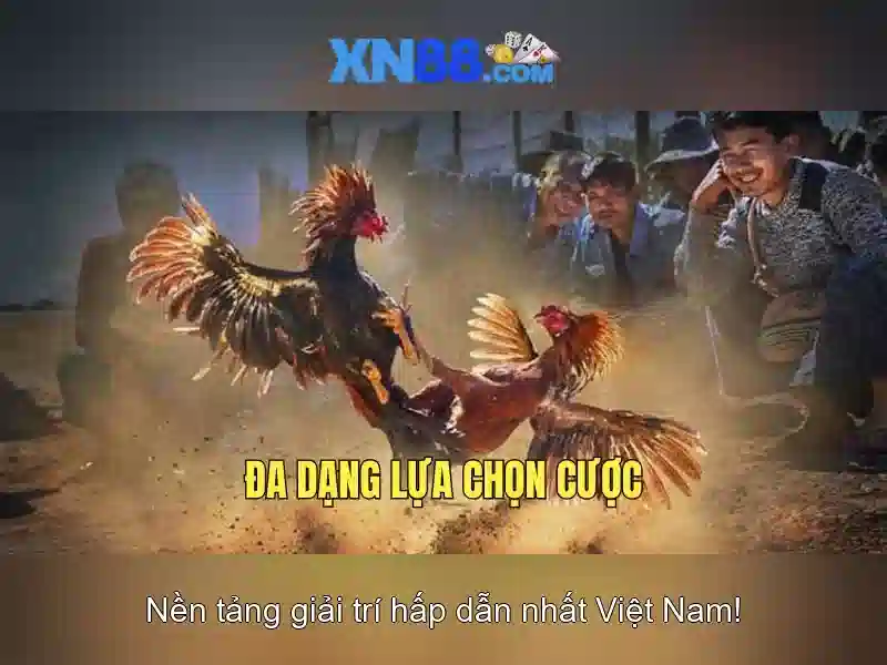 XN88 app com