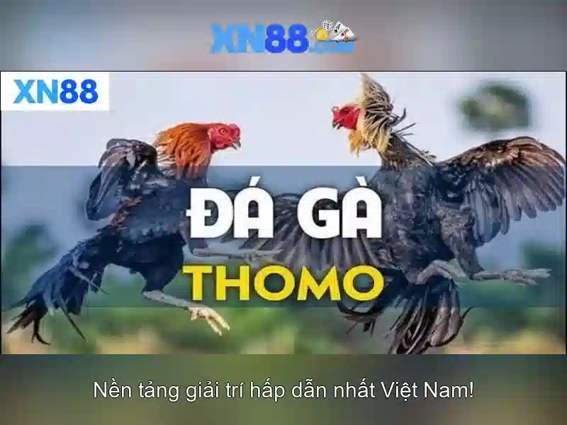 Trải Nghiệm Slot 24/7