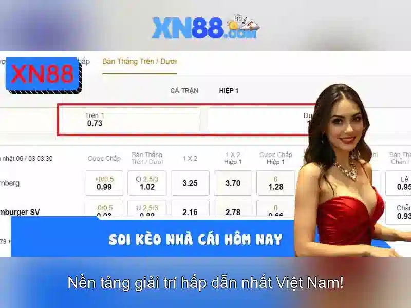 Đánh Giá XN88