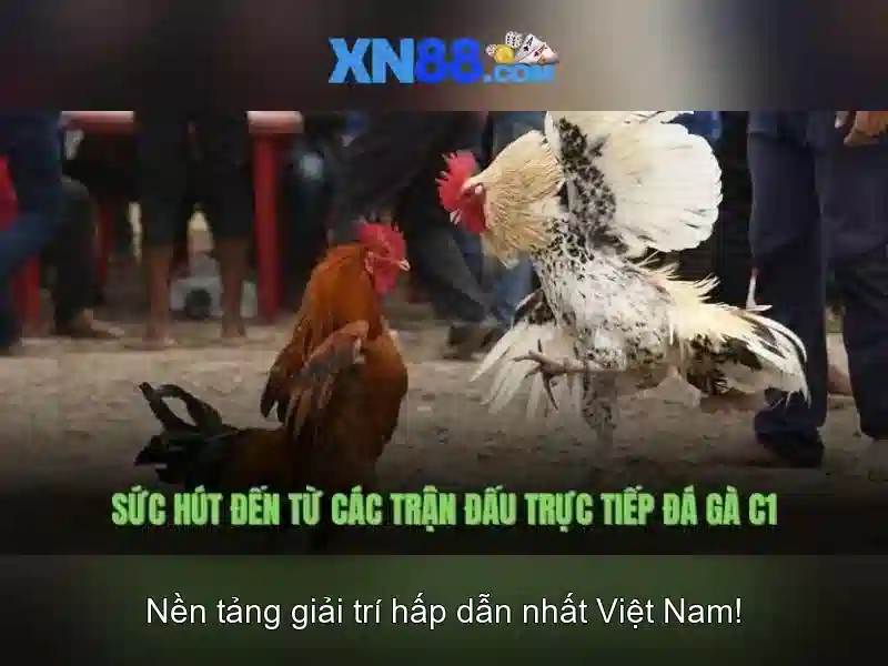 Trải Nghiệm Slot Đỉnh Cao