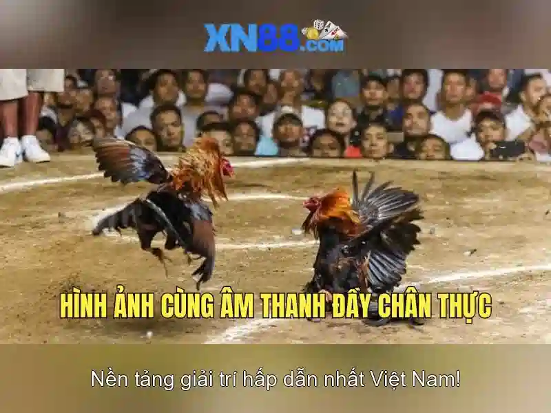 Trải nghiệm cược Slot đỉnh cao
