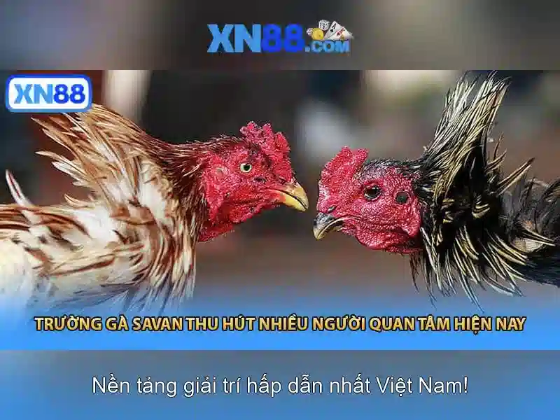 Đa dạng game XN88