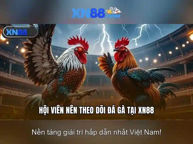 Trải nghiệm Slot trực tuyến an toàn với XN88 App