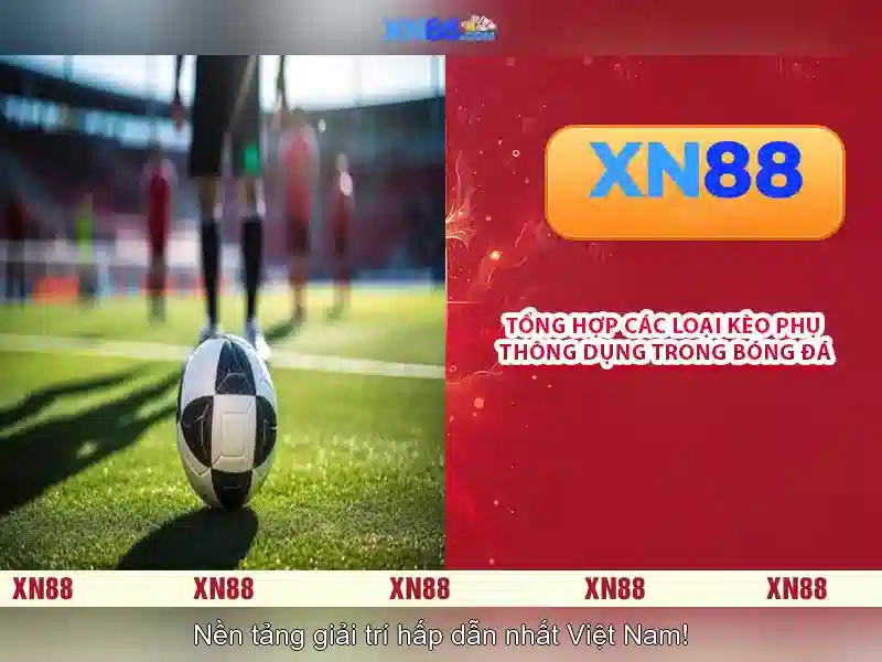 XN88 là gì