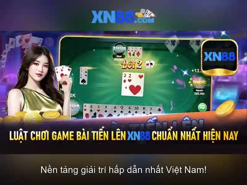 Điều Khoản XN88