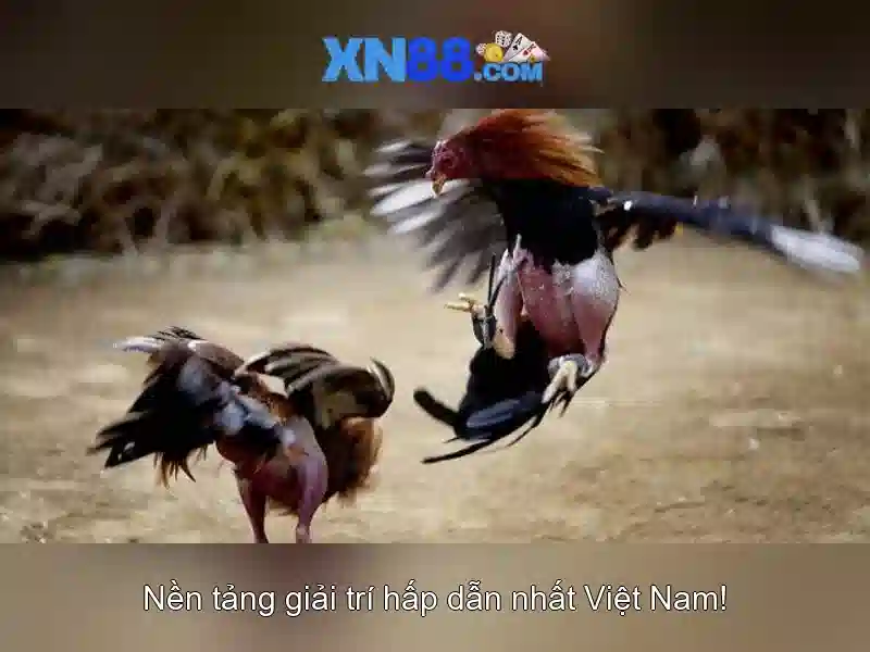 Trải Nghiệm Chơi Slot Trên Ứng Dụng XN88