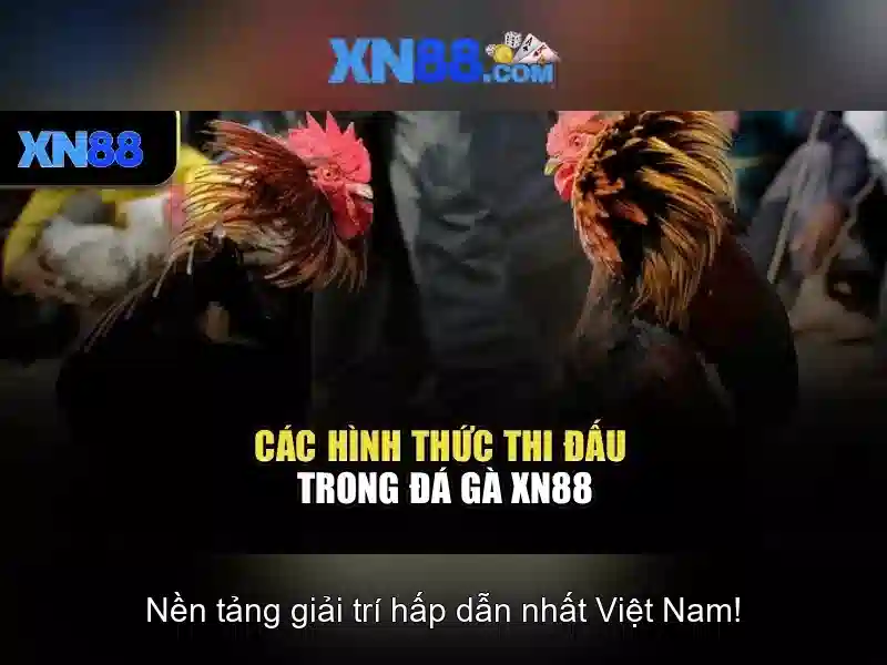 Trò chơi slot tại XN88 Casino
